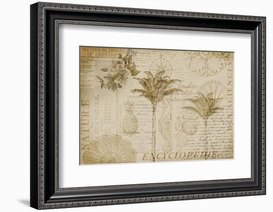 Tropical Encyclopedia-Andrea Haase-Framed Photographic Print