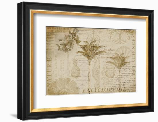 Tropical Encyclopedia-Andrea Haase-Framed Photographic Print