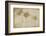 Tropical Encyclopedia-Andrea Haase-Framed Photographic Print