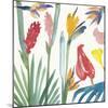 Tropical Exotics I-Alan Halliday-Mounted Giclee Print