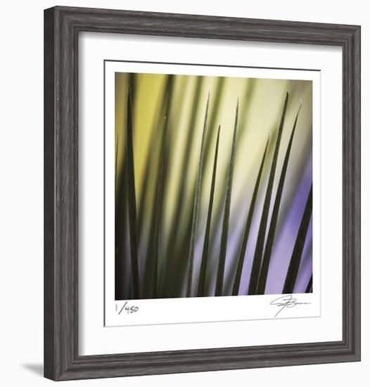 Tropical Fan 2-Ken Bremer-Framed Limited Edition