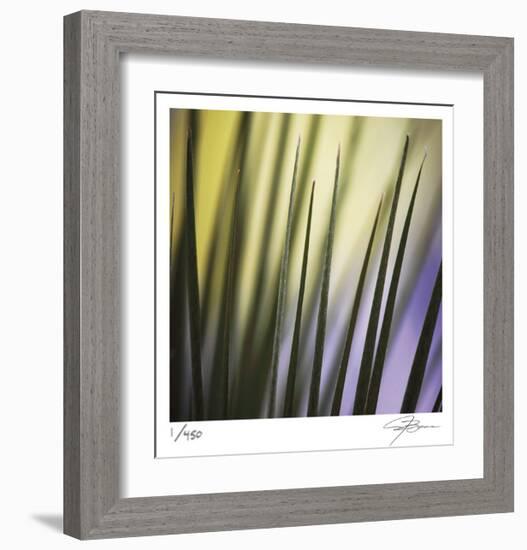 Tropical Fan 2-Ken Bremer-Framed Limited Edition