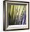 Tropical Fan 2-Ken Bremer-Framed Limited Edition