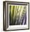 Tropical Fan 2-Ken Bremer-Framed Limited Edition