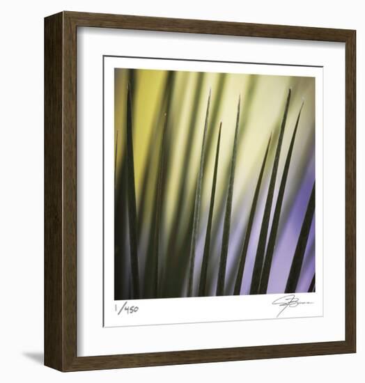 Tropical Fan 2-Ken Bremer-Framed Limited Edition