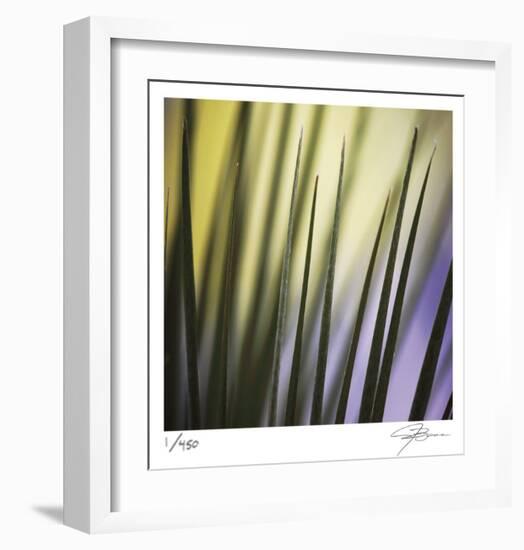 Tropical Fan 2-Ken Bremer-Framed Limited Edition