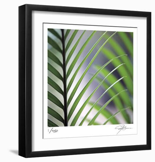 Tropical Fan-Ken Bremer-Framed Limited Edition