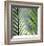 Tropical Fan-Ken Bremer-Framed Limited Edition