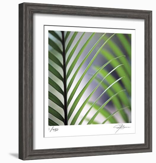 Tropical Fan-Ken Bremer-Framed Limited Edition