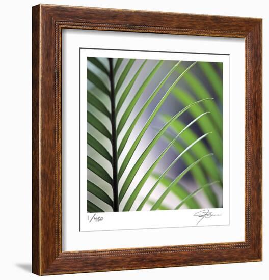 Tropical Fan-Ken Bremer-Framed Limited Edition