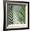 Tropical Fan-Ken Bremer-Framed Limited Edition