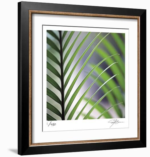 Tropical Fan-Ken Bremer-Framed Limited Edition