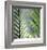 Tropical Fan-Ken Bremer-Framed Limited Edition