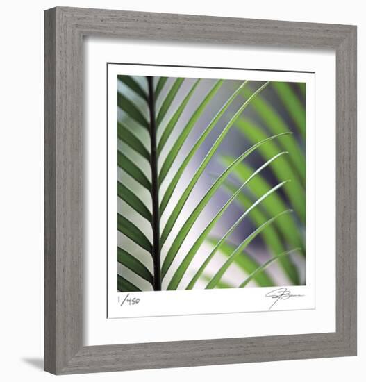 Tropical Fan-Ken Bremer-Framed Limited Edition