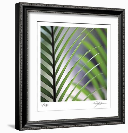 Tropical Fan-Ken Bremer-Framed Limited Edition