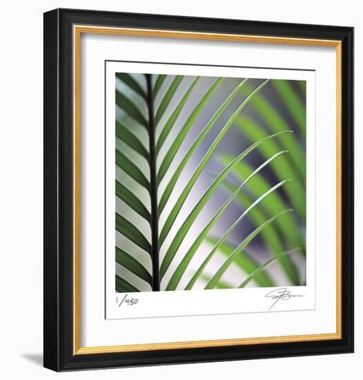 Tropical Fan-Ken Bremer-Framed Limited Edition