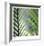 Tropical Fan-Ken Bremer-Framed Limited Edition