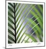 Tropical Fan-Ken Bremer-Mounted Limited Edition