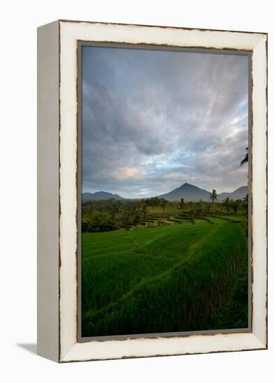 Tropical Farmland Near Ijen Crater in East Java-Alex Saberi-Framed Premier Image Canvas