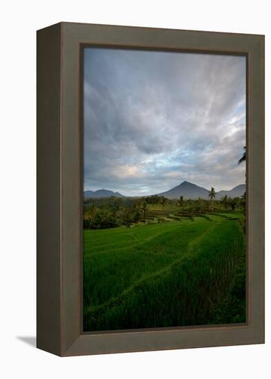 Tropical Farmland Near Ijen Crater in East Java-Alex Saberi-Framed Premier Image Canvas