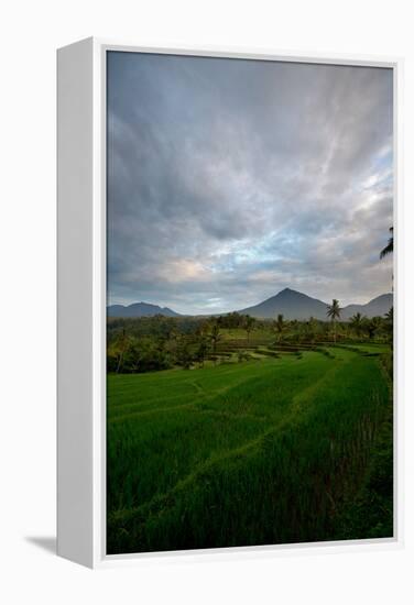 Tropical Farmland Near Ijen Crater in East Java-Alex Saberi-Framed Premier Image Canvas