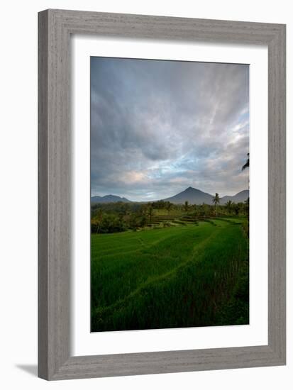 Tropical Farmland Near Ijen Crater in East Java-Alex Saberi-Framed Photographic Print