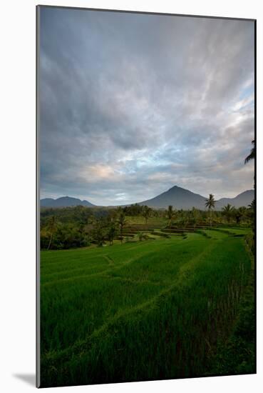 Tropical Farmland Near Ijen Crater in East Java-Alex Saberi-Mounted Photographic Print