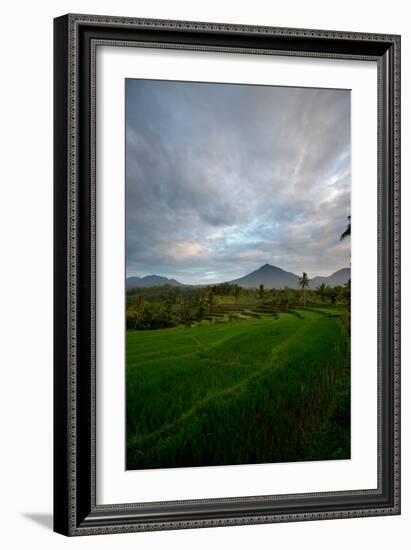 Tropical Farmland Near Ijen Crater in East Java-Alex Saberi-Framed Photographic Print