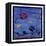 Tropical Fish 2-David Sheskin-Framed Premier Image Canvas