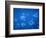 Tropical Fish, Caribbean-Lauree Feldman-Framed Photographic Print