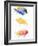 Tropical Fish I-Lanie Loreth-Framed Art Print