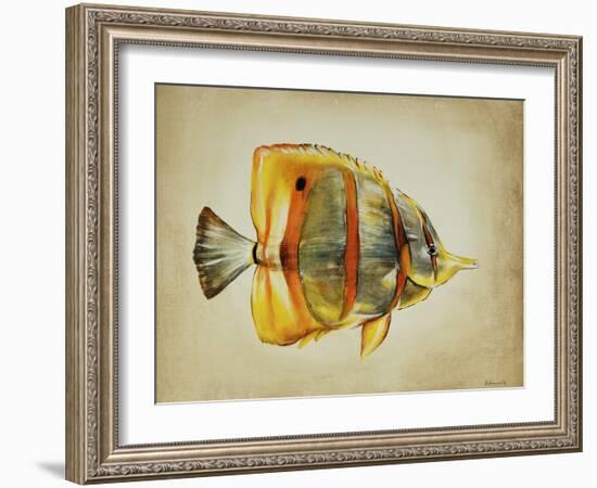 Tropical Fish I-Sydney Edmunds-Framed Giclee Print