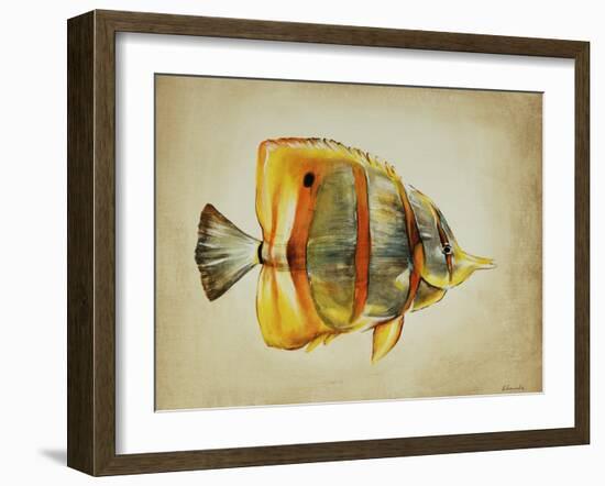 Tropical Fish I-Sydney Edmunds-Framed Giclee Print