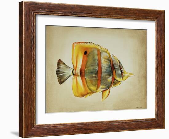 Tropical Fish I-Sydney Edmunds-Framed Giclee Print