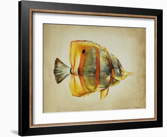 Tropical Fish I-Sydney Edmunds-Framed Giclee Print