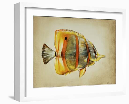 Tropical Fish I-Sydney Edmunds-Framed Giclee Print