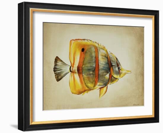 Tropical Fish I-Sydney Edmunds-Framed Giclee Print