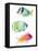 Tropical Fish II-Lanie Loreth-Framed Stretched Canvas