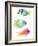 Tropical Fish II-Lanie Loreth-Framed Art Print