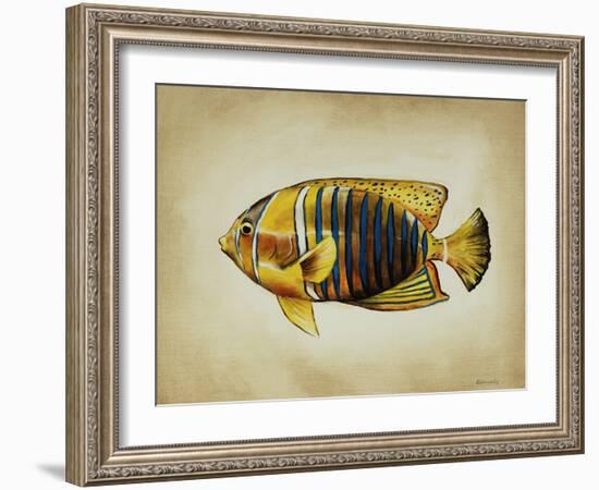 Tropical Fish II-Sydney Edmunds-Framed Giclee Print