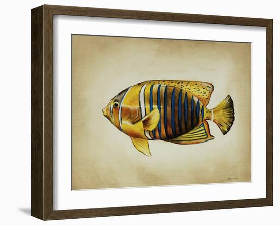 Tropical Fish II-Sydney Edmunds-Framed Giclee Print