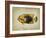 Tropical Fish II-Sydney Edmunds-Framed Giclee Print