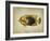 Tropical Fish II-Sydney Edmunds-Framed Giclee Print