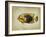 Tropical Fish II-Sydney Edmunds-Framed Giclee Print