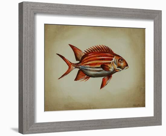 Tropical Fish III-Sydney Edmunds-Framed Giclee Print