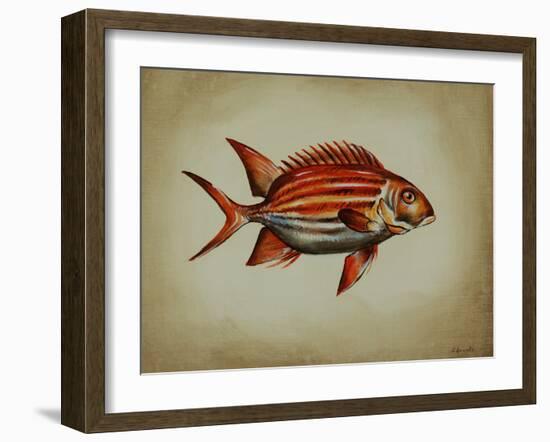 Tropical Fish III-Sydney Edmunds-Framed Giclee Print