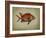 Tropical Fish III-Sydney Edmunds-Framed Giclee Print