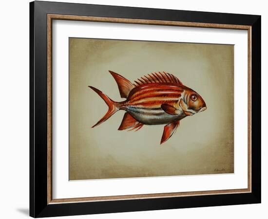 Tropical Fish III-Sydney Edmunds-Framed Giclee Print