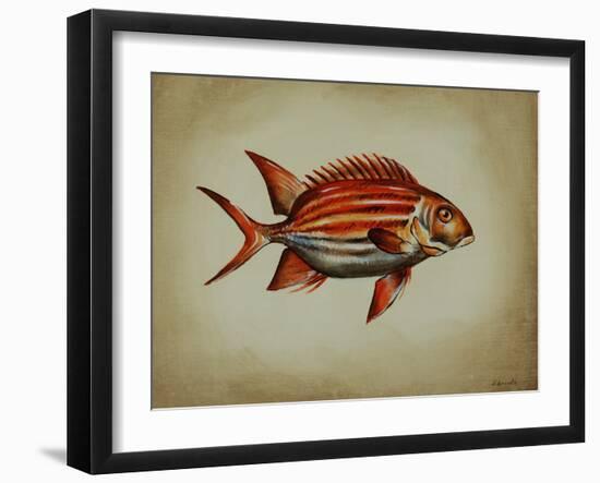 Tropical Fish III-Sydney Edmunds-Framed Giclee Print