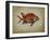 Tropical Fish III-Sydney Edmunds-Framed Giclee Print